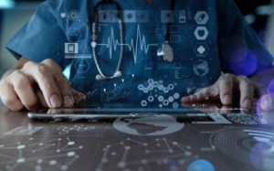 2024ϺHtеչ[Ϻչ[^ek